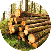 Lumber Framing Estimating Sample
